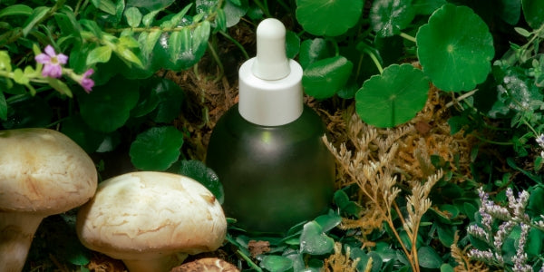 Eco-Friendly Skincare Products: Discover Nature's Best Remedies