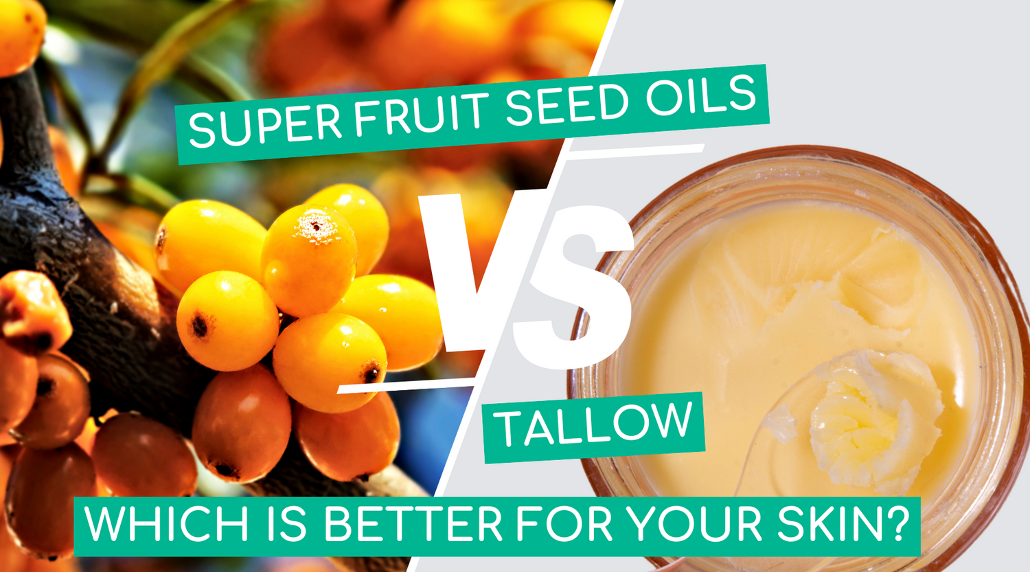Superfruit Seed Oils vs. Tallow: Which is Better for Your Skin?