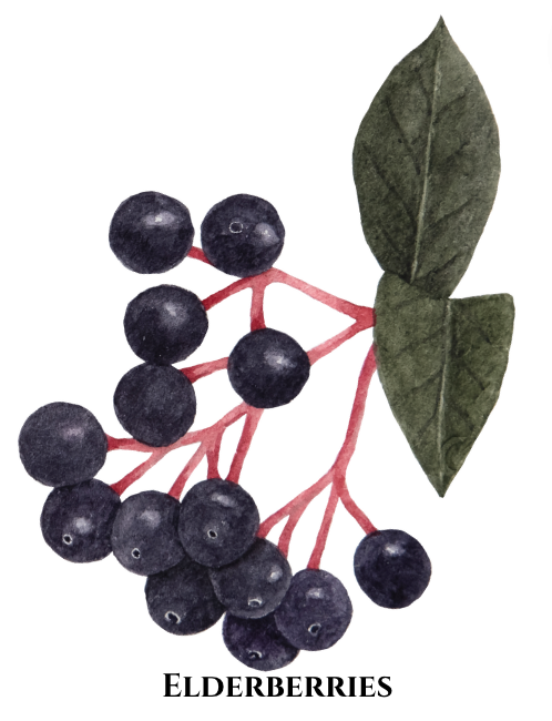 Free Sample | Chinook’s 2-Step Frequency-Infused Skincare Ritual