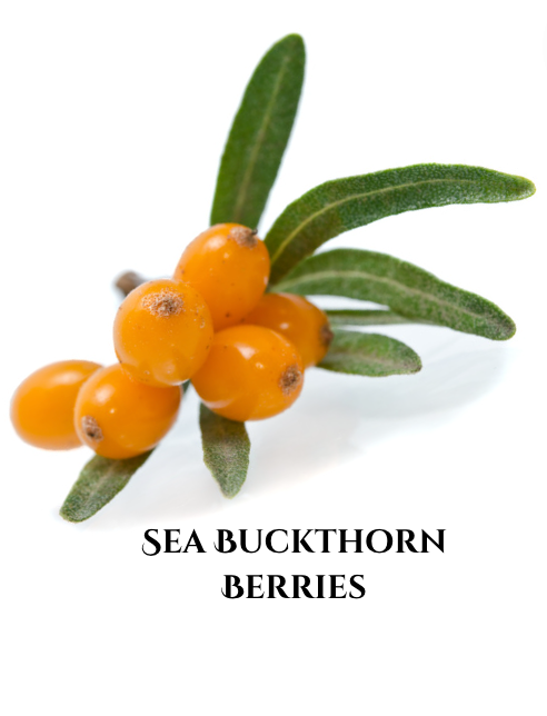 Free Sample | Chinook’s 2-Step Frequency-Infused Skincare Ritual