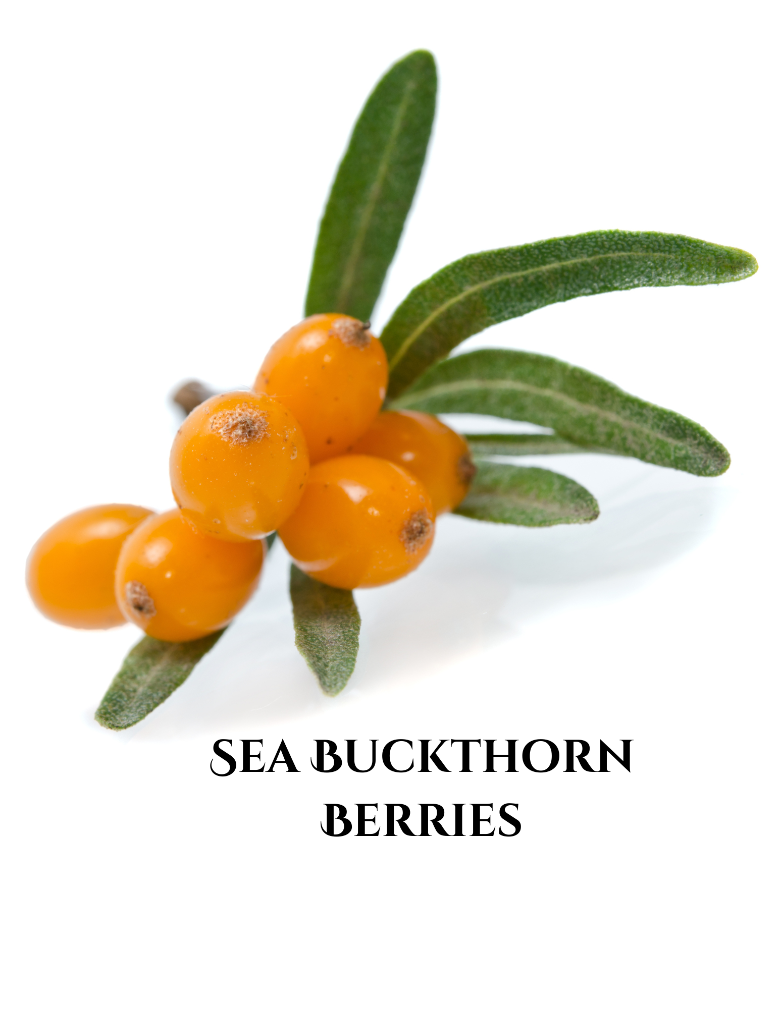 Superfruit Gel-to-Milk Cleanser | 4-in-1 Ritual for Cleansing & Glow