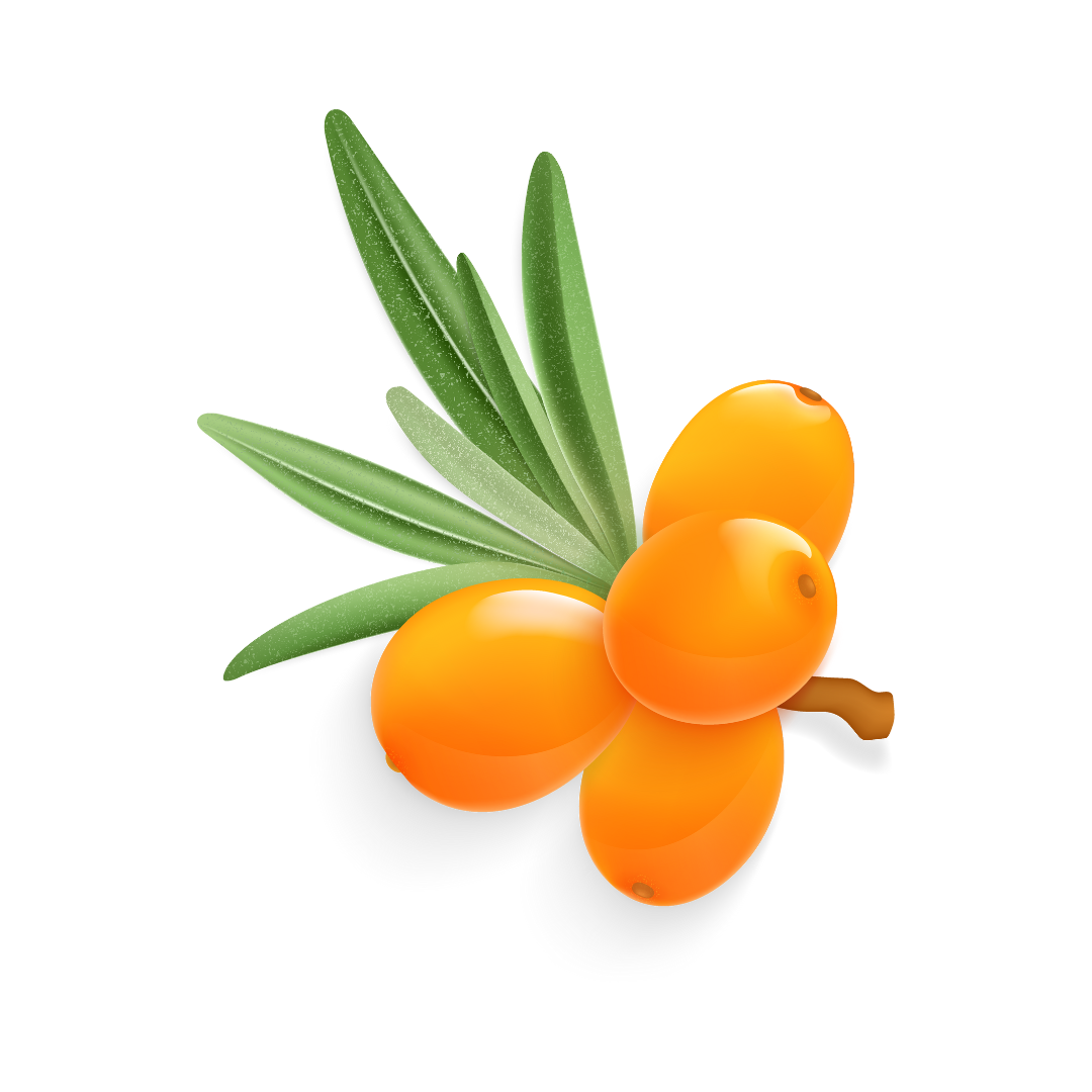 orange plum icon