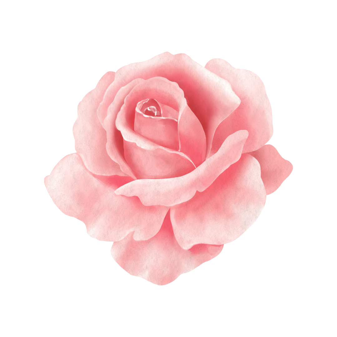 pink rose icon