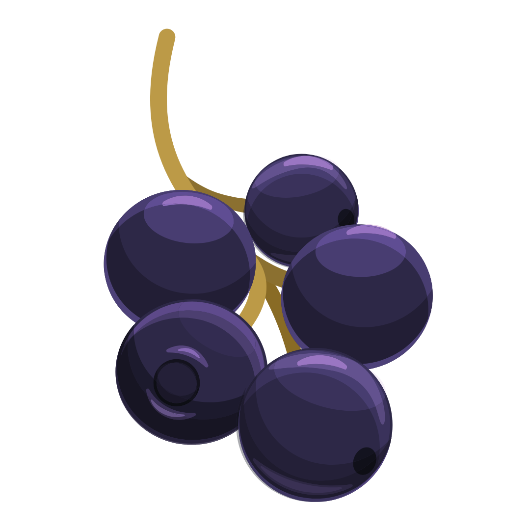 blueberries icon
