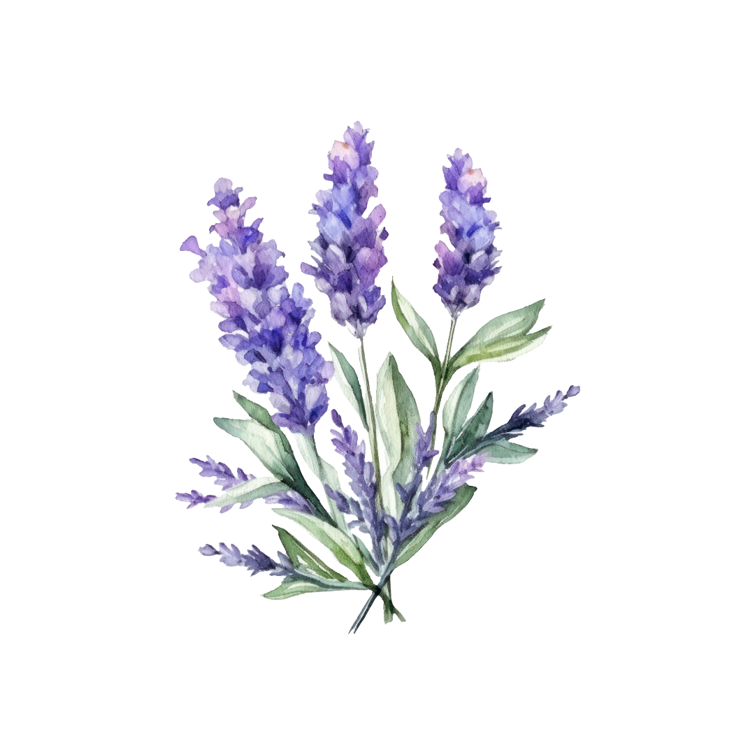 lavender flowers icon