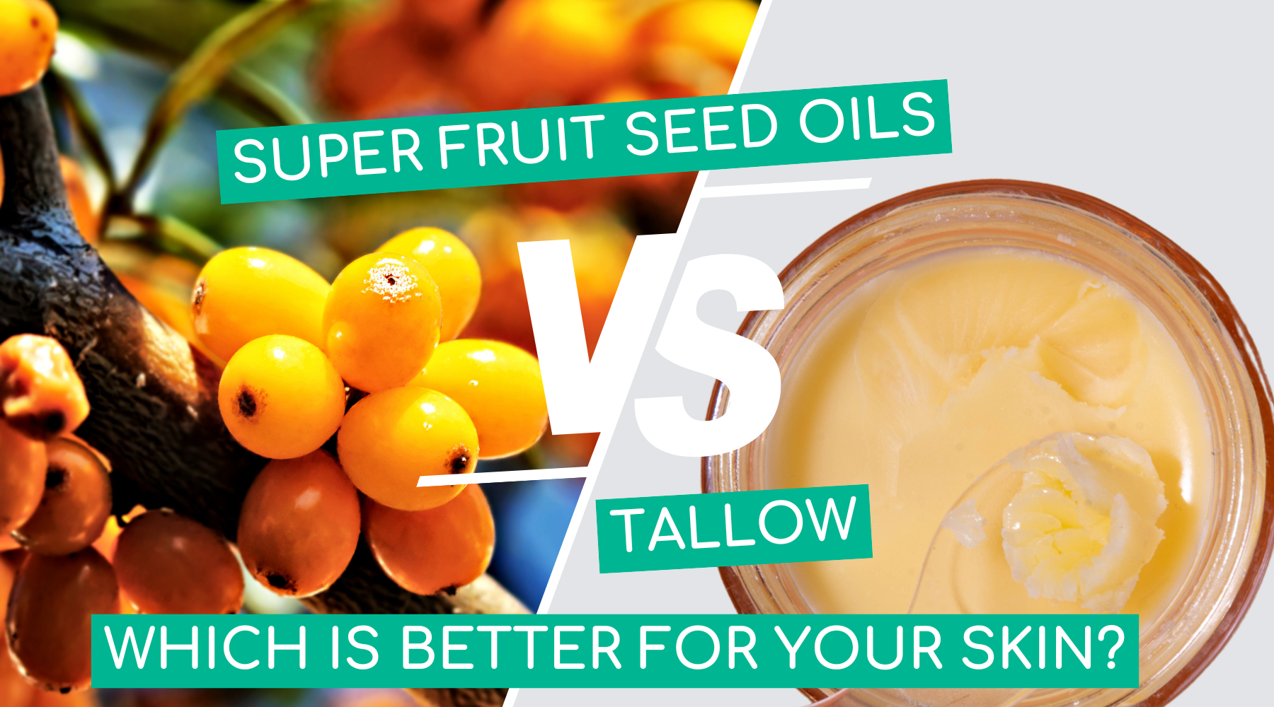 Superfruit Seed Oils vs. Tallow: Which is Better for Your Skin?