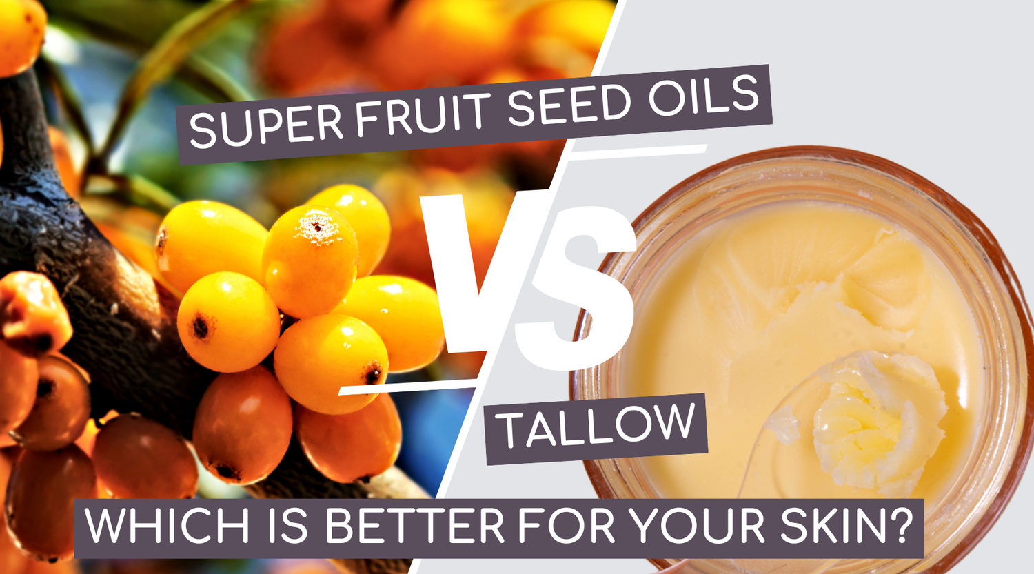 Superfruit Seed Oils vs. Tallow: Which is Better for Your Skin?