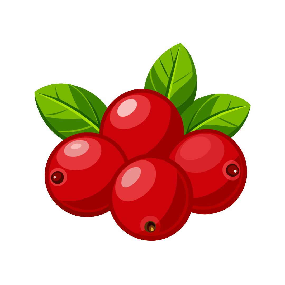 red berries icon
